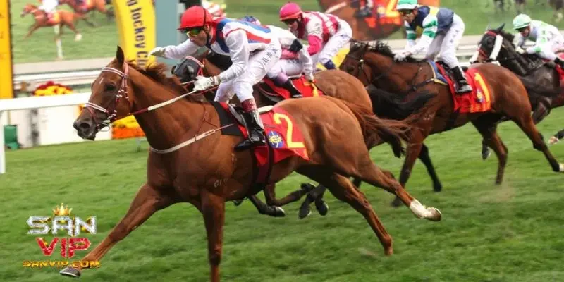 Bật mí các loại hình cá cược đua ngựa phổ biến