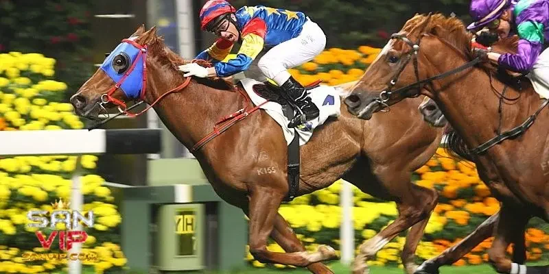 Lịch sử của loại hình cá cược đua ngựa